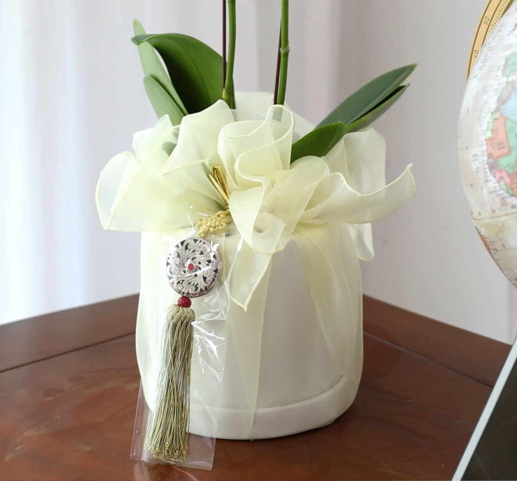 ½º½ÂÀdz¯ ¼±¹° Á¤¼º°¡µæÈ£Á¢¶õ ¼±¹° - ÈÀÌÆ®È£Á¢ ¾Æ¸¶¸±¸®½º (¼¿ïÀüÁö¿ª,¼öµµ±ÇÀϺθ¸°¡´É) ²ÉÁý ²É¹è´Þ