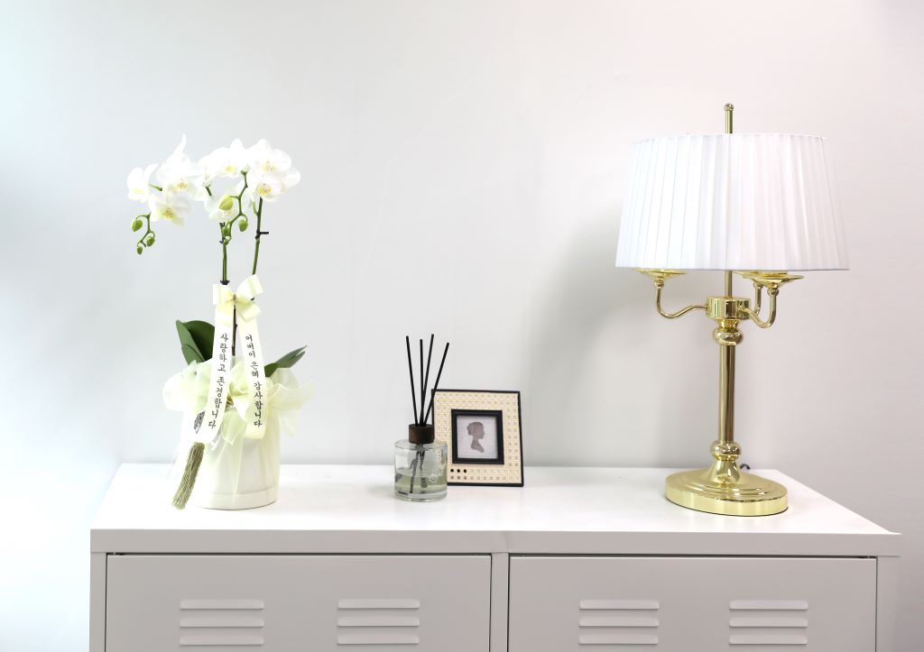 ½º½ÂÀdz¯ ¼±¹° Á¤¼º°¡µæÈ£Á¢¶õ ¼±¹° - ÈÀÌÆ®È£Á¢ ¾Æ¸¶¸±¸®½º (¼¿ïÀüÁö¿ª,¼öµµ±ÇÀϺθ¸°¡´É) ²ÉÁý ²É¹è´Þ