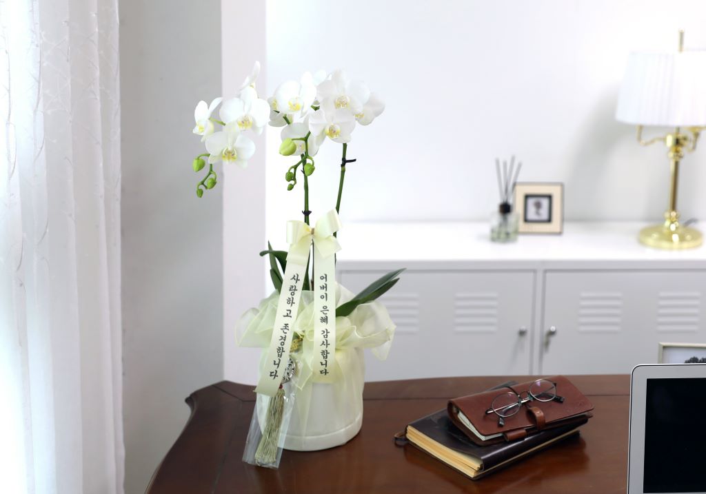 ½º½ÂÀdz¯ ¼±¹° Á¤¼º°¡µæÈ£Á¢¶õ ¼±¹° - ÈÀÌÆ®È£Á¢ ¾Æ¸¶¸±¸®½º (¼¿ïÀüÁö¿ª,¼öµµ±ÇÀϺθ¸°¡´É) ²ÉÁý ²É¹è´Þ