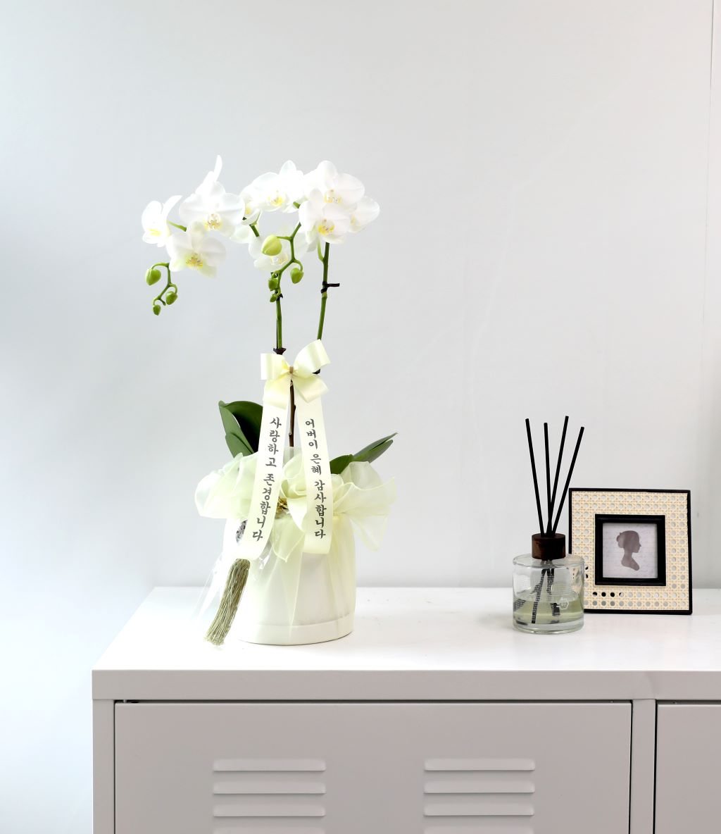 ½º½ÂÀdz¯ ¼±¹° Á¤¼º°¡µæÈ£Á¢¶õ ¼±¹° - ÈÀÌÆ®È£Á¢ ¾Æ¸¶¸±¸®½º (¼¿ïÀüÁö¿ª,¼öµµ±ÇÀϺθ¸°¡´É) ²ÉÁý ²É¹è´Þ