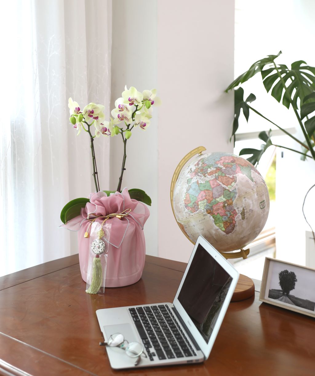 ǳ  ȣ  - ȣ ׸ (,Ϻθ)