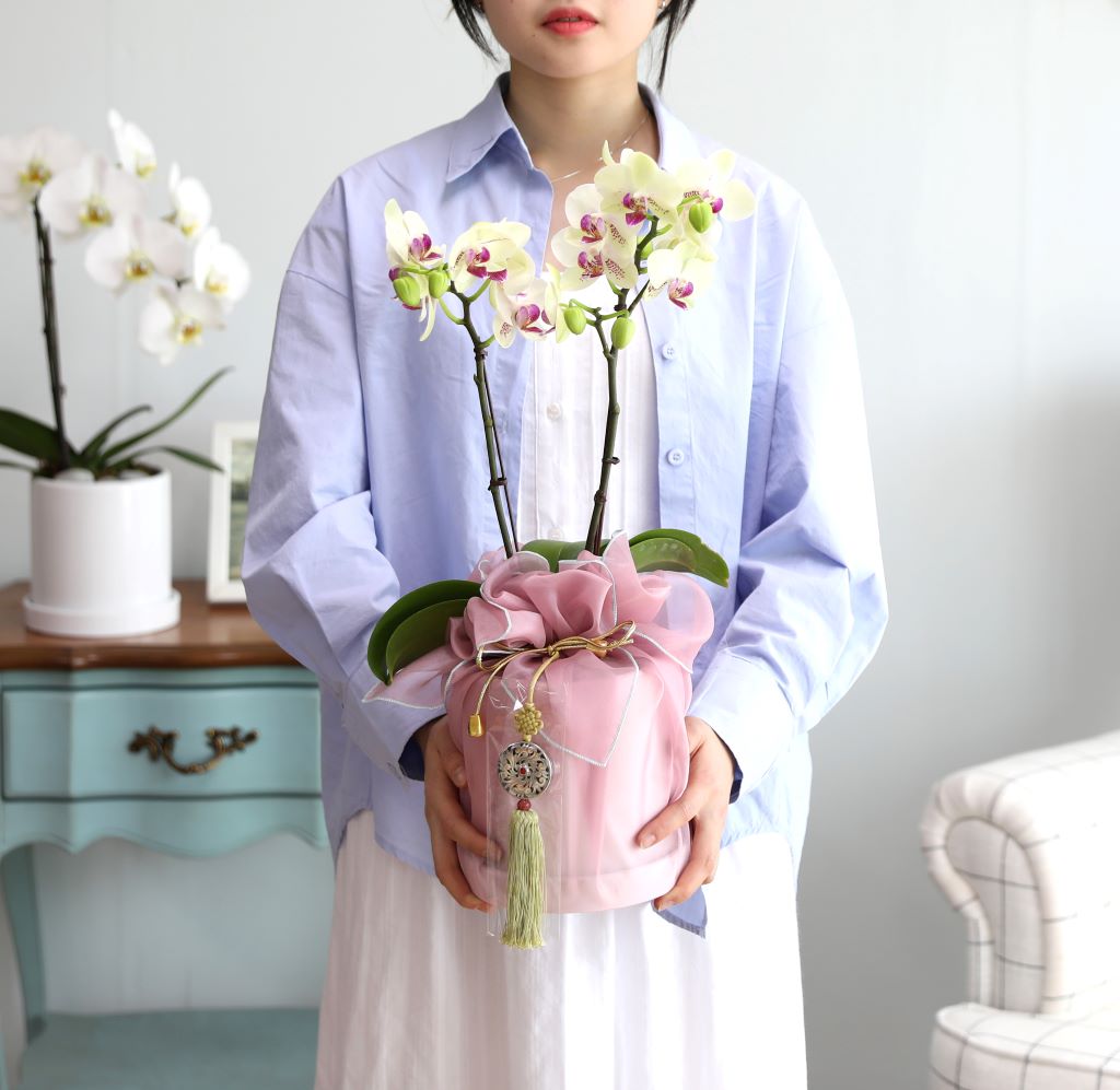 ǳ  ȣ  - ȣ ׸ (,Ϻθ)