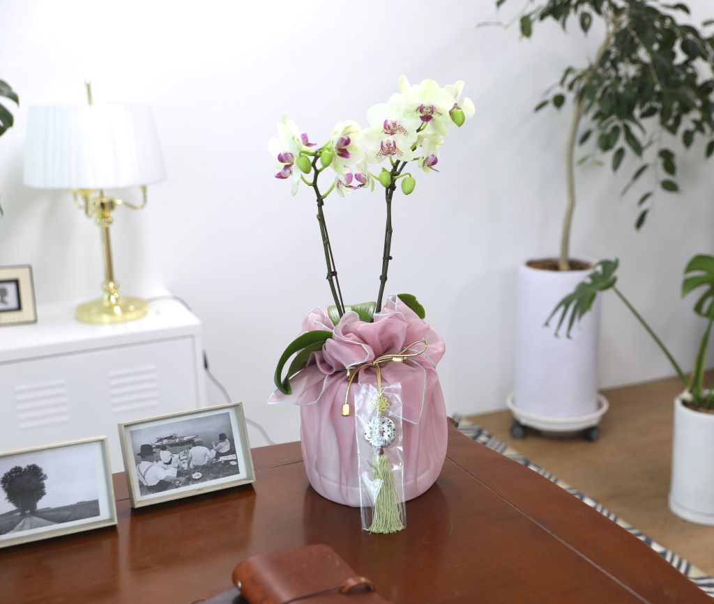 ǳ  ȣ  - ȣ ׸ (,Ϻθ)