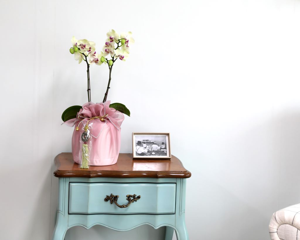 ǳ  ȣ  - ȣ ׸ (,Ϻθ)