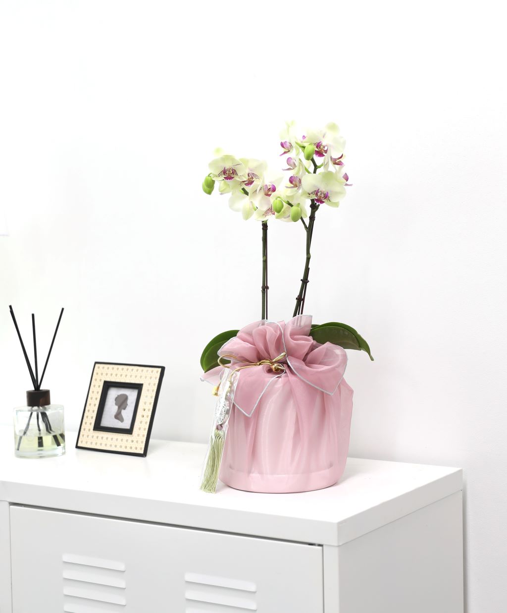 ǳ  ȣ  - ȣ ׸ (,Ϻθ)