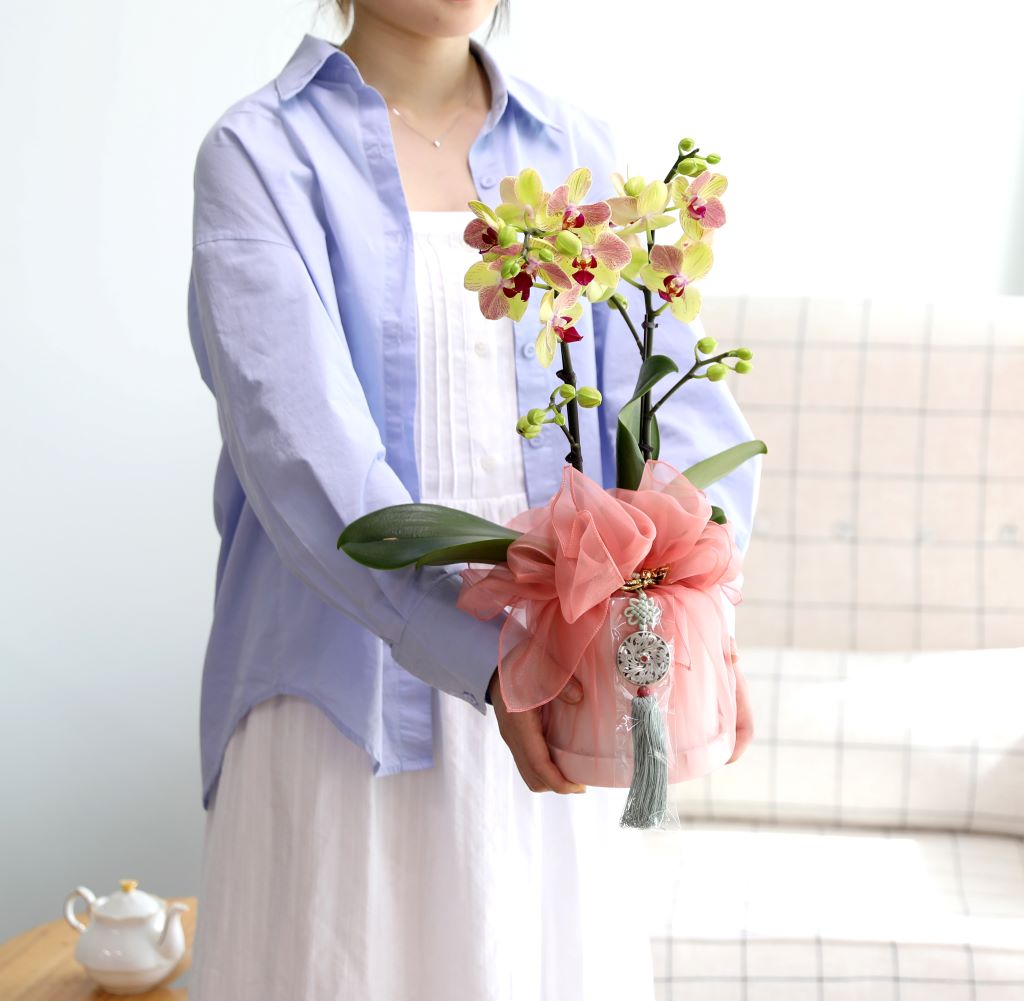 ½º½ÂÀdz¯ ¼±¹° Á¤¼º°¡µæÈ£Á¢¶õ ¼±¹° - ÁÖȲȣÁ¢ ¿À·»Áö (¼¿ïÀüÁö¿ª,¼öµµ±ÇÀϺθ¸°¡´É)