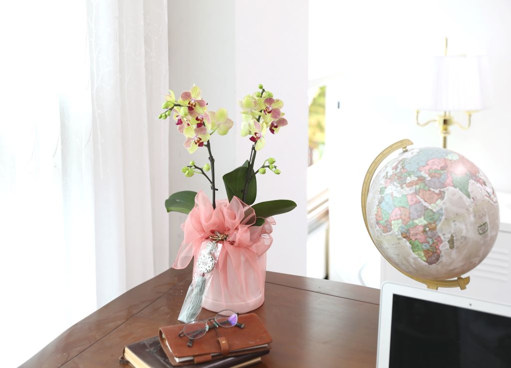 ½º½ÂÀdz¯ ¼±¹° Á¤¼º°¡µæÈ£Á¢¶õ ¼±¹° - ÁÖȲȣÁ¢ ¿À·»Áö (¼¿ïÀüÁö¿ª,¼öµµ±ÇÀϺθ¸°¡´É)