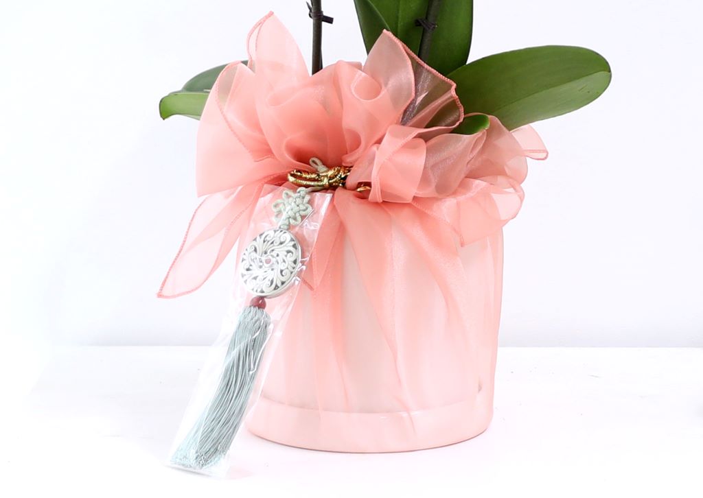 ½º½ÂÀdz¯ ¼±¹° Á¤¼º°¡µæÈ£Á¢¶õ ¼±¹° - ÁÖȲȣÁ¢ ¿À·»Áö (¼¿ïÀüÁö¿ª,¼öµµ±ÇÀϺθ¸°¡´É)