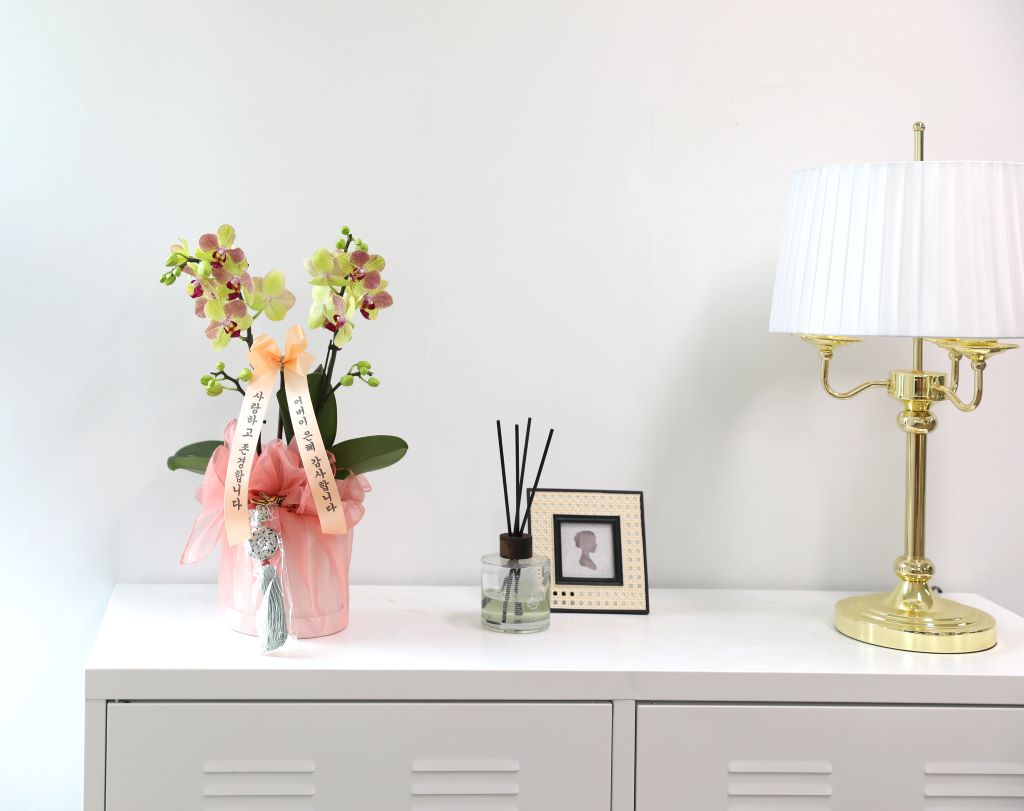 ½º½ÂÀdz¯ ¼±¹° Á¤¼º°¡µæÈ£Á¢¶õ ¼±¹° - ÁÖȲȣÁ¢ ¿À·»Áö (¼¿ïÀüÁö¿ª,¼öµµ±ÇÀϺθ¸°¡´É)