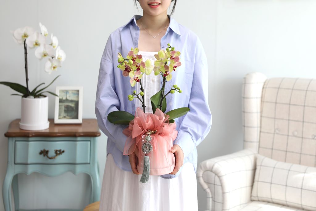 ½º½ÂÀdz¯ ¼±¹° Á¤¼º°¡µæÈ£Á¢¶õ ¼±¹° - ÁÖȲȣÁ¢ ¿À·»Áö (¼¿ïÀüÁö¿ª,¼öµµ±ÇÀϺθ¸°¡´É)