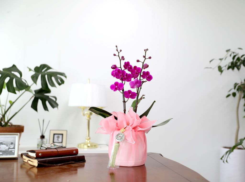 ǳ  ȣ  - ũȣ õȫ(,Ϻθ)  ɹ