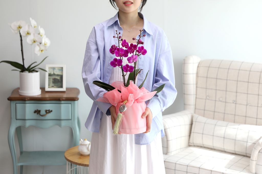 ǳ  ȣ  - ũȣ õȫ(,Ϻθ)  ɹ