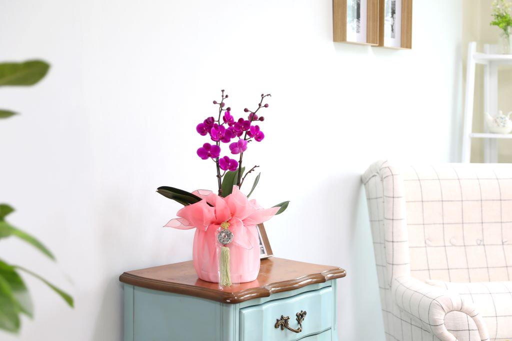 ǳ  ȣ  - ũȣ õȫ(,Ϻθ)  ɹ