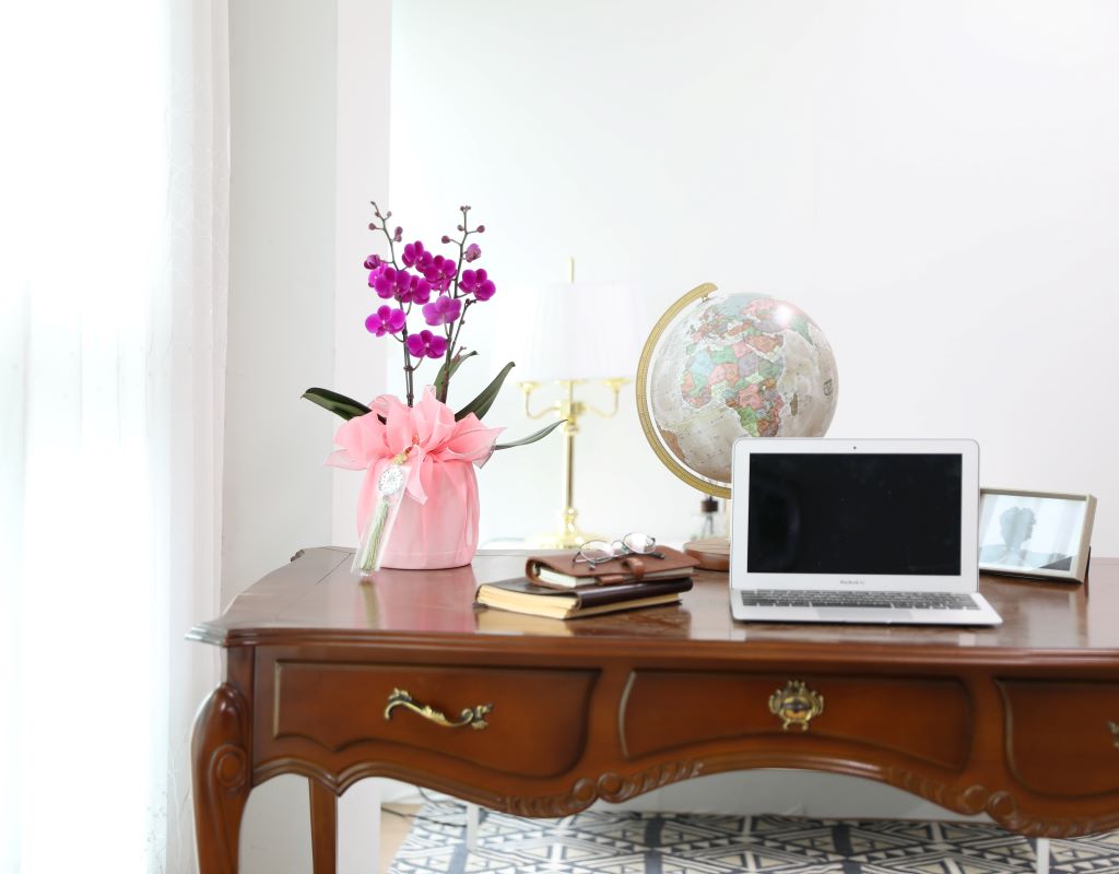 ǳ  ȣ  - ũȣ õȫ(,Ϻθ)  ɹ