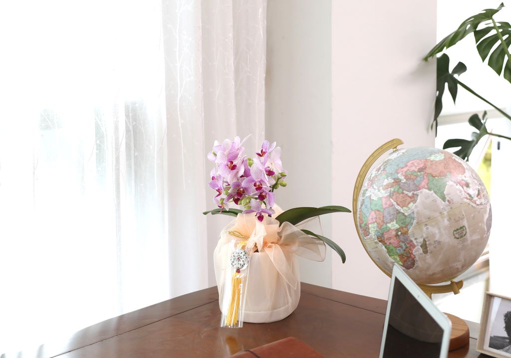 ǳ  ȣ  - ũȣ ûǳ(,Ϻθ)