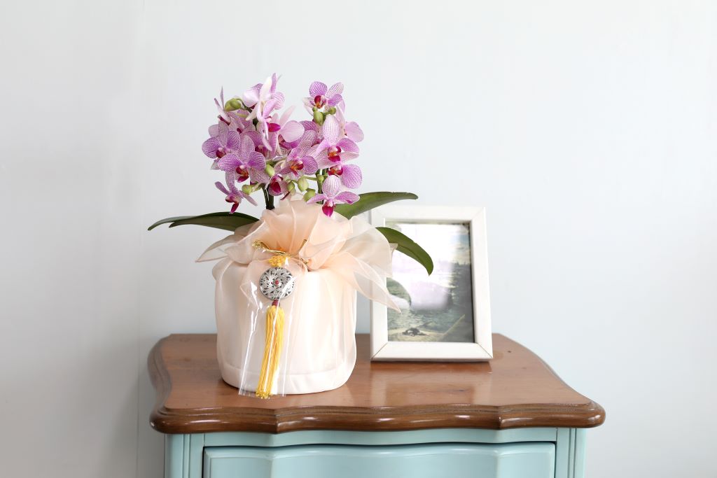 ǳ  ȣ  - ũȣ ûǳ(,Ϻθ)