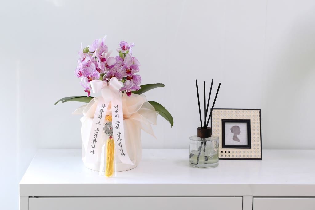 ǳ  ȣ  - ũȣ ûǳ(,Ϻθ)