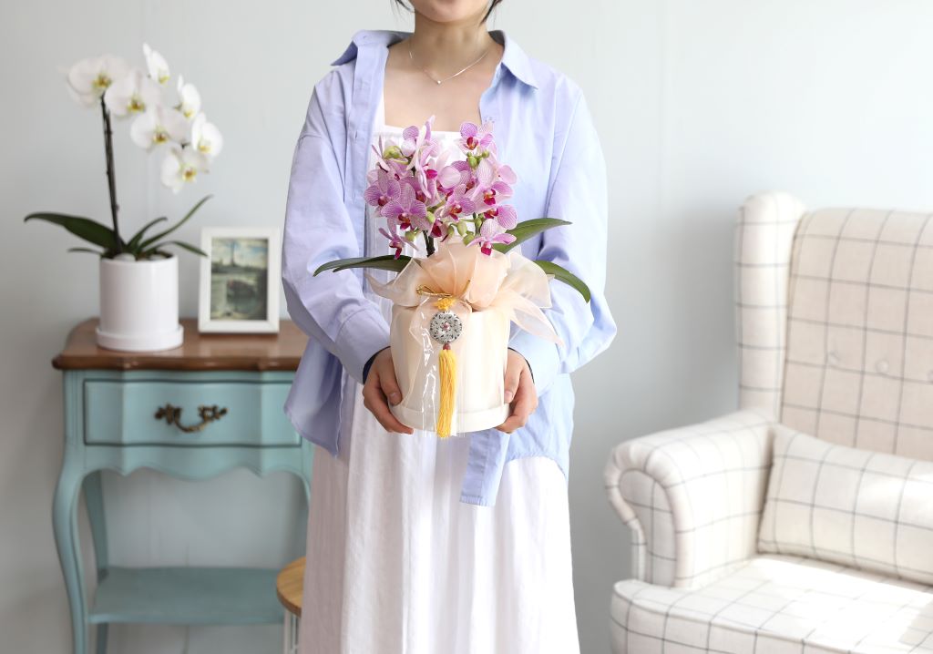 ǳ  ȣ  - ũȣ ûǳ(,Ϻθ)