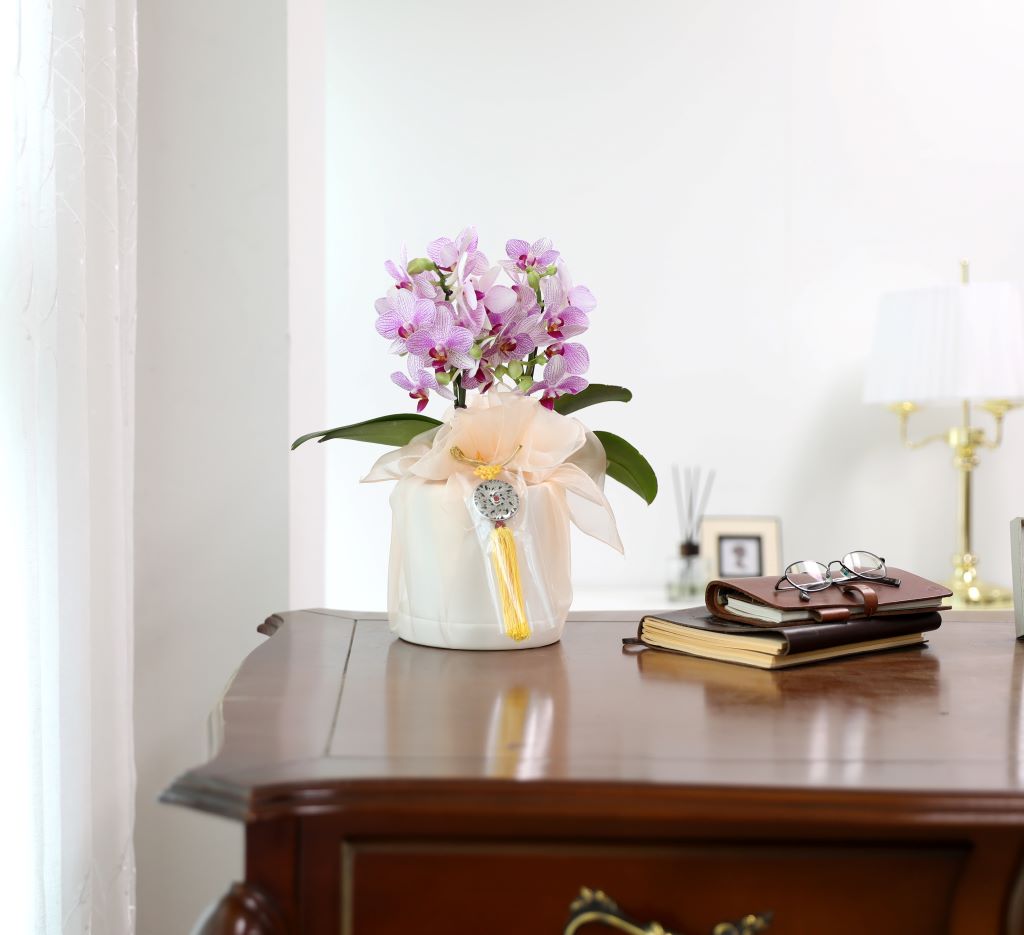 ǳ  ȣ  - ũȣ ûǳ(,Ϻθ)