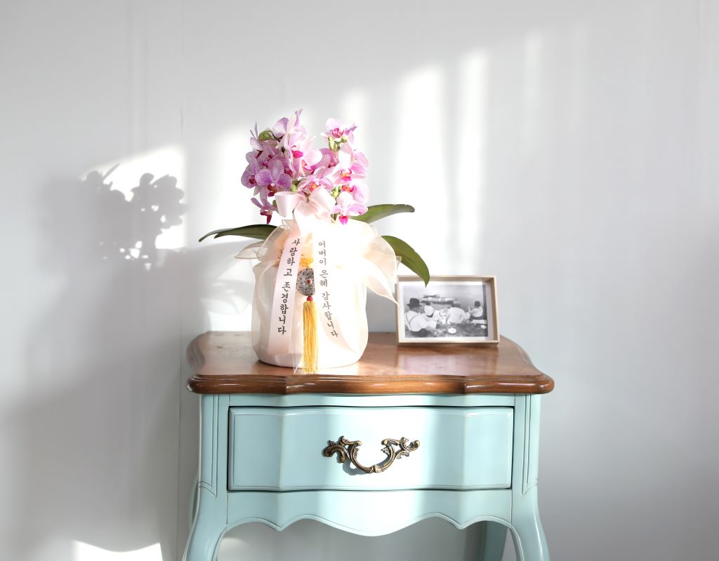 ǳ  ȣ  - ũȣ ûǳ(,Ϻθ)