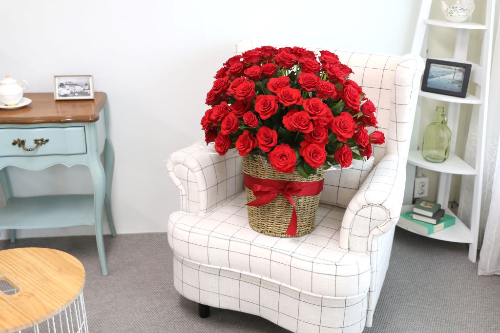 [ǿ][100]   ̲(Ư)  ɹ