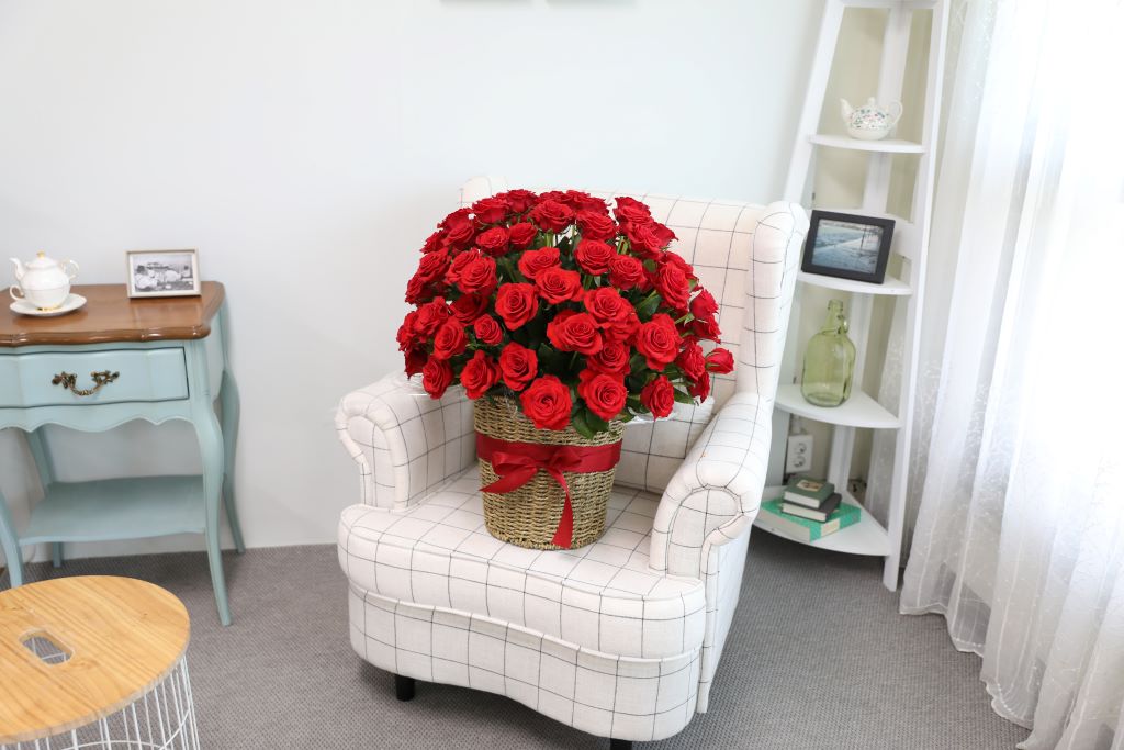 [ǿ][100]   ̲(Ư)  ɹ