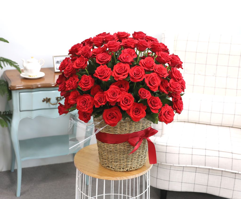 [ǿ][100]   ̲(Ư)  ɹ