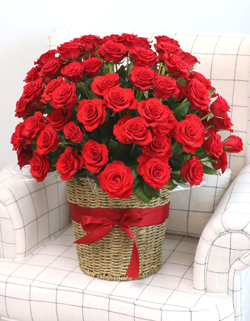 [ǿ][100]   ̲(Ư)  ɹ