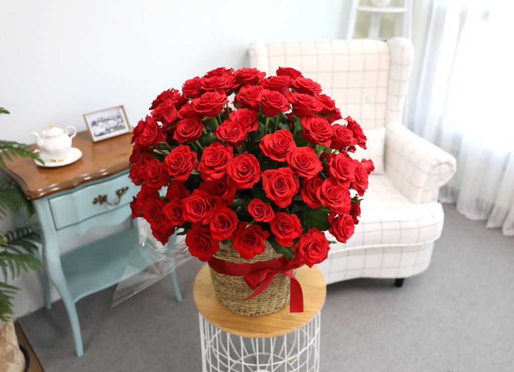 [ǿ][100]   ̲(Ư)  ɹ