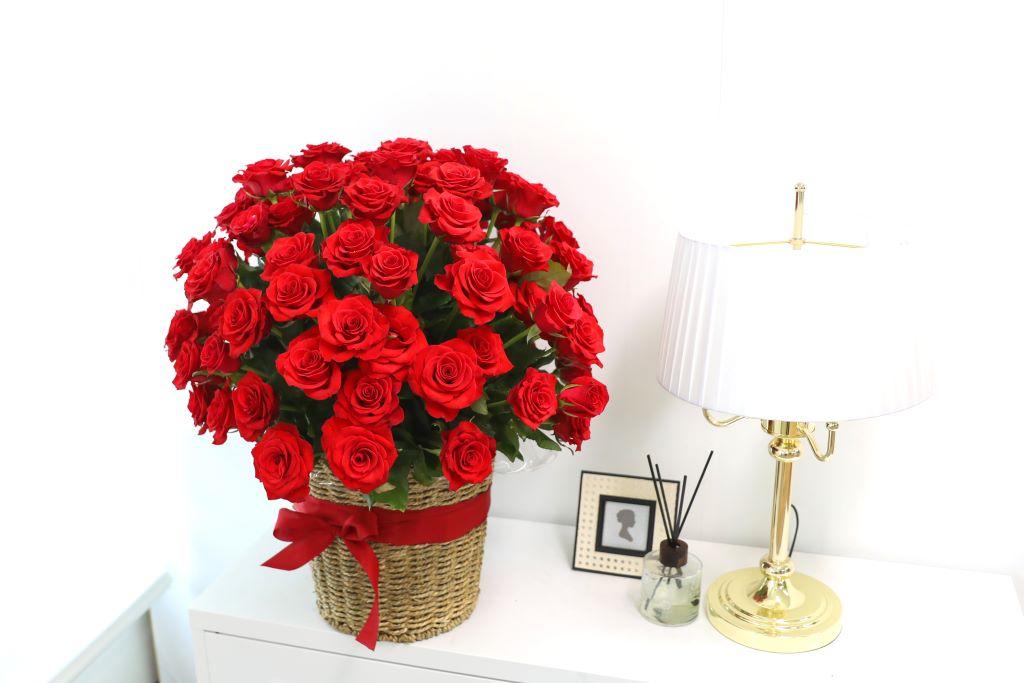 [ǿ][100]   ̲(Ư)  ɹ