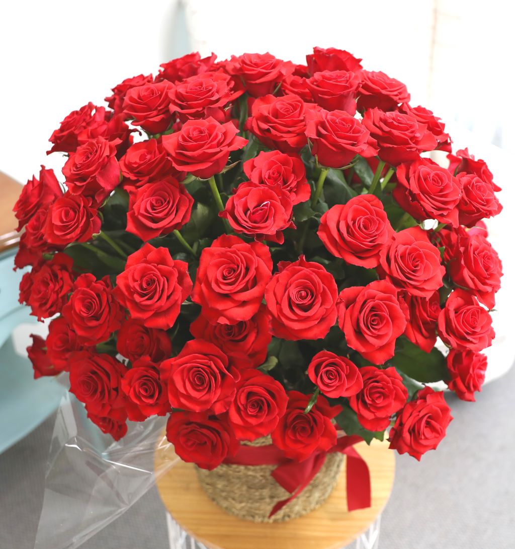 [ǿ][100]   ̲(Ư)  ɹ