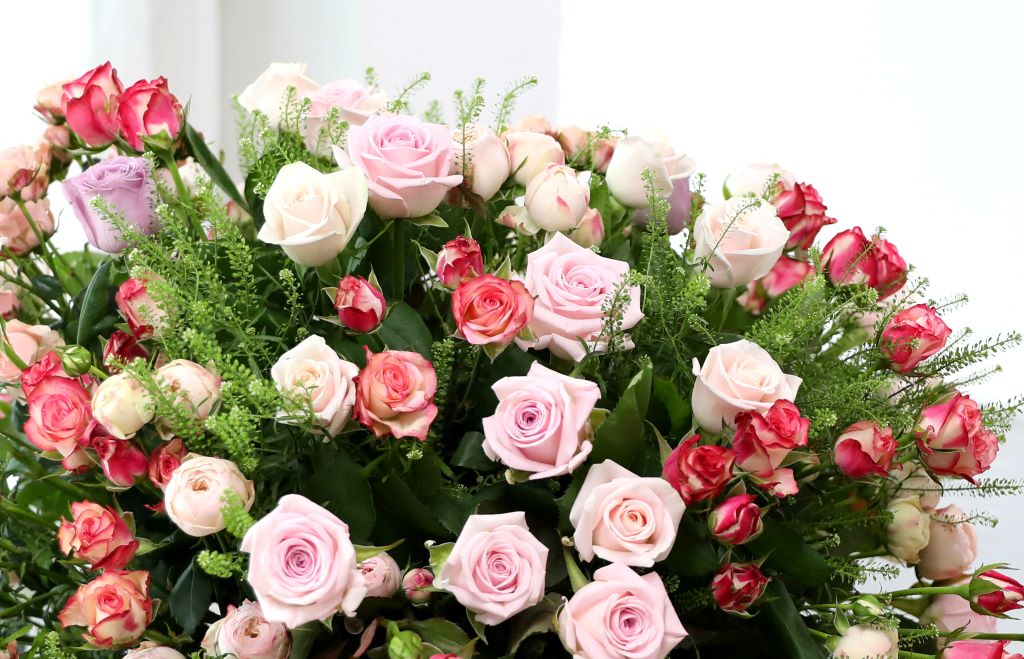 [￹]English Rose Garden