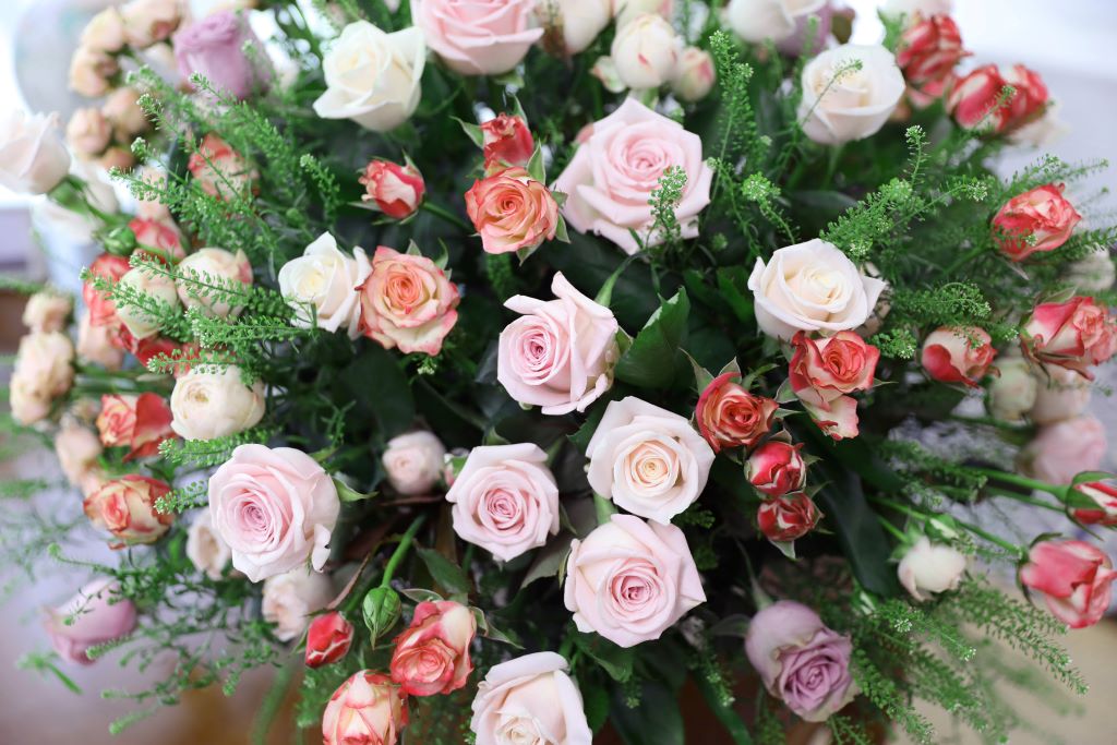 [￹]English Rose Garden