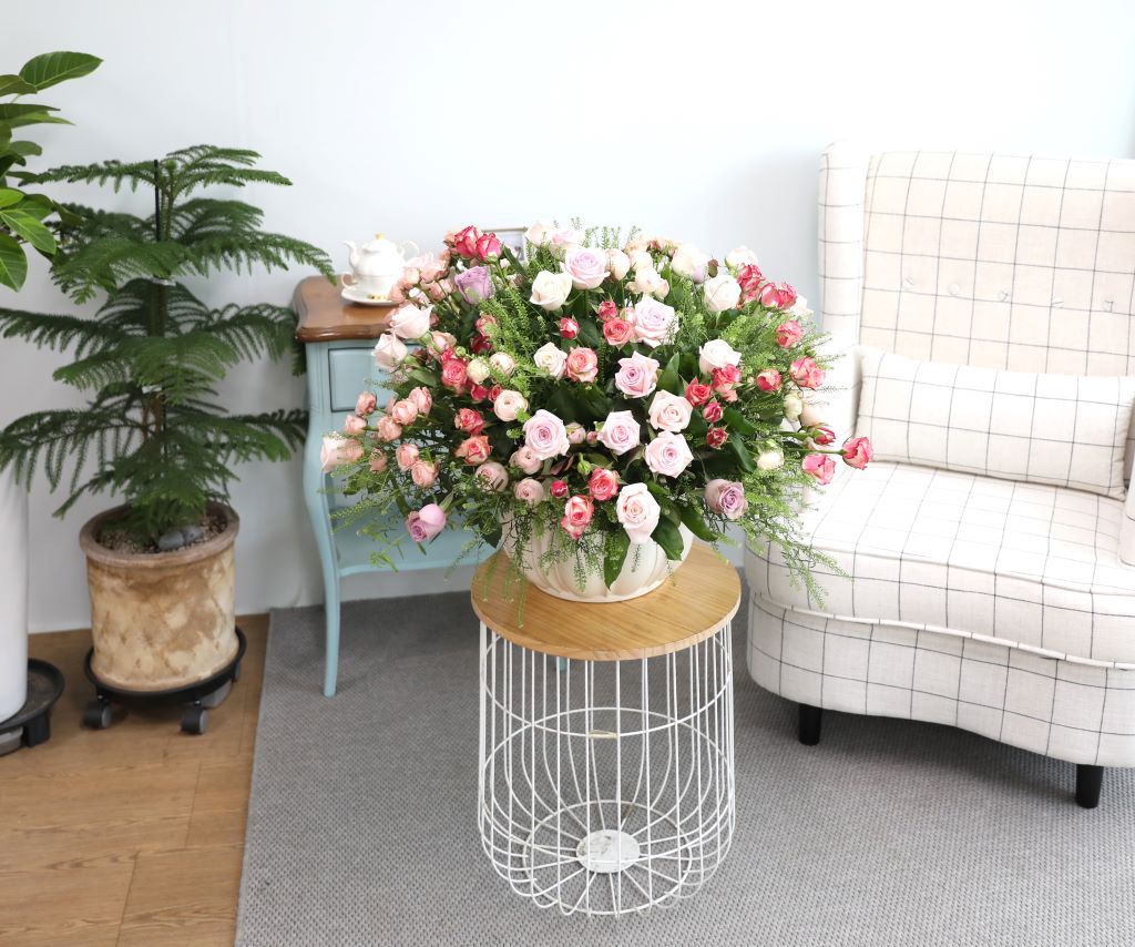 [￹]English Rose Garden