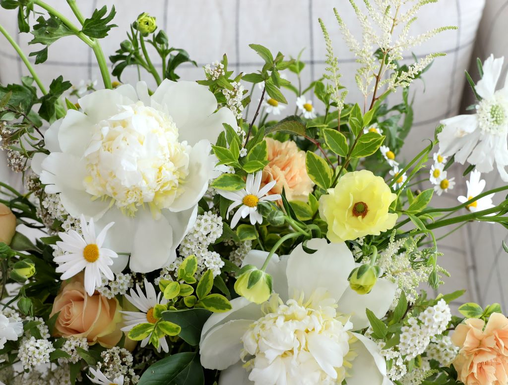 [,] Spring Garden flowers