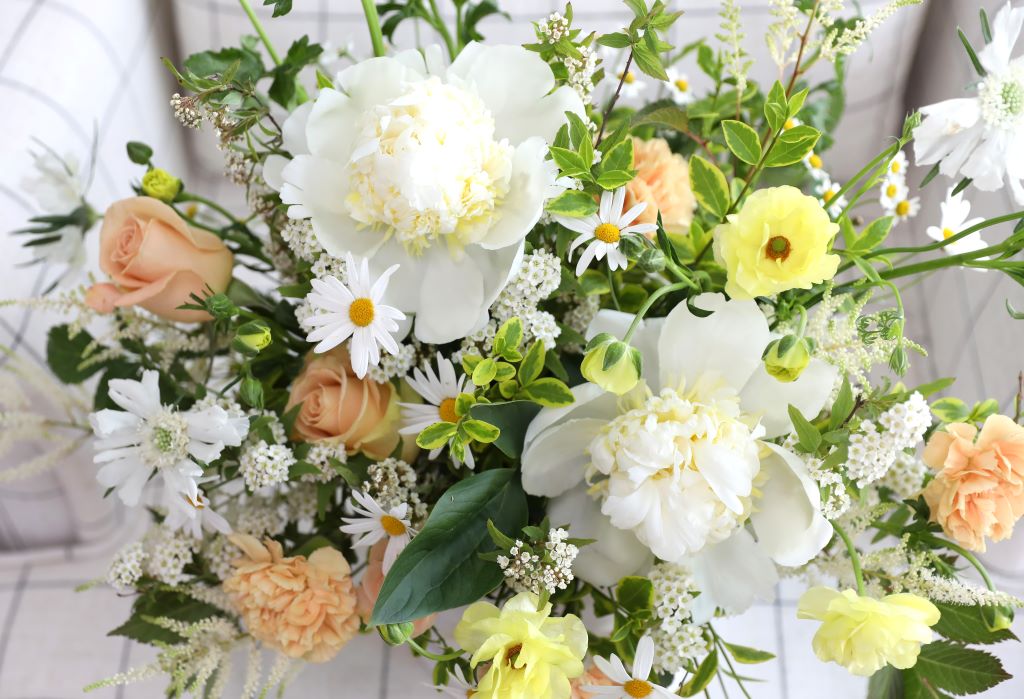 [,] Spring Garden flowers