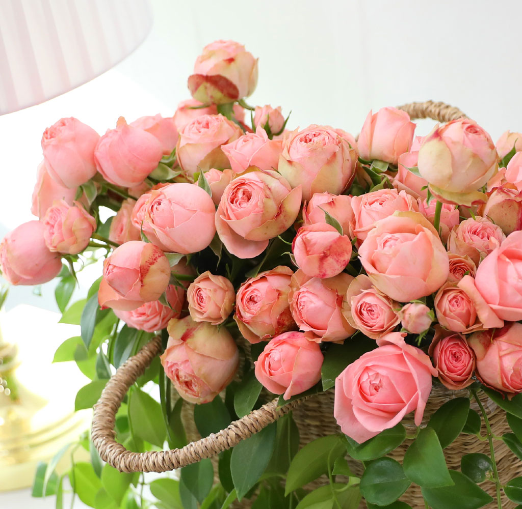 ����Ҽ��ۿ� ���� ��� ���� �ɹ��