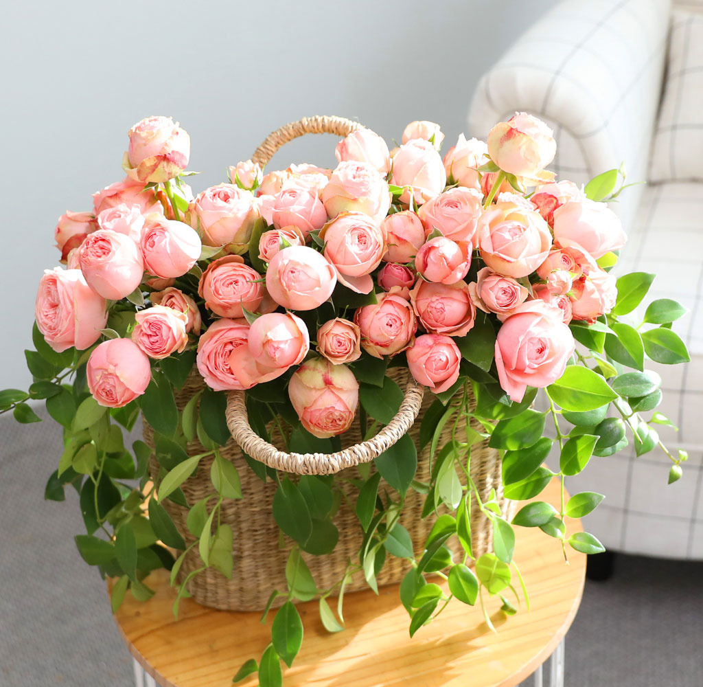 ����Ҽ��ۿ� ���� ��� ���� �ɹ��