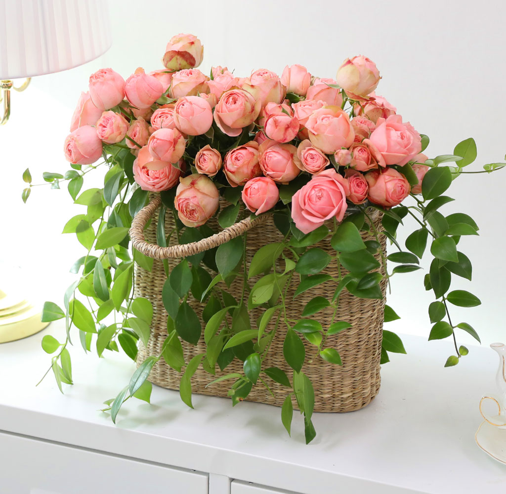 ����Ҽ��ۿ� ���� ��� ���� �ɹ��