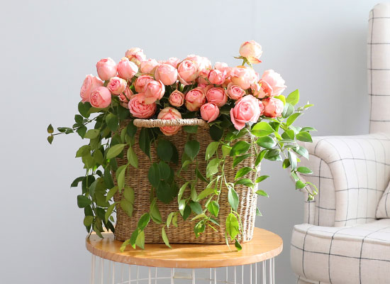 ����Ҽ��ۿ� ���� ��� ���� �ɹ��