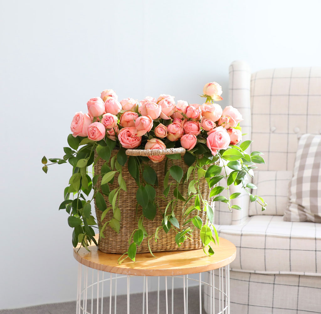 ����Ҽ��ۿ� ���� ��� ���� �ɹ��