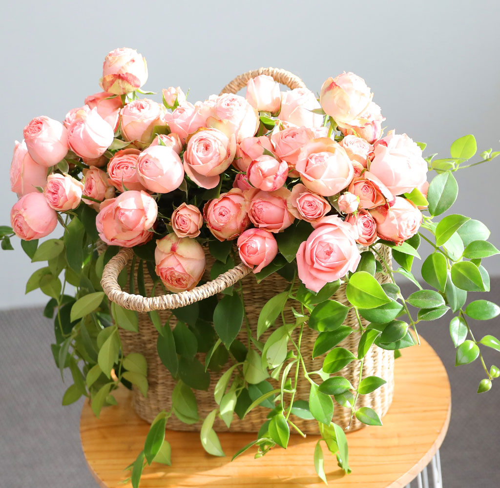 ����Ҽ��ۿ� ���� ��� ���� �ɹ��