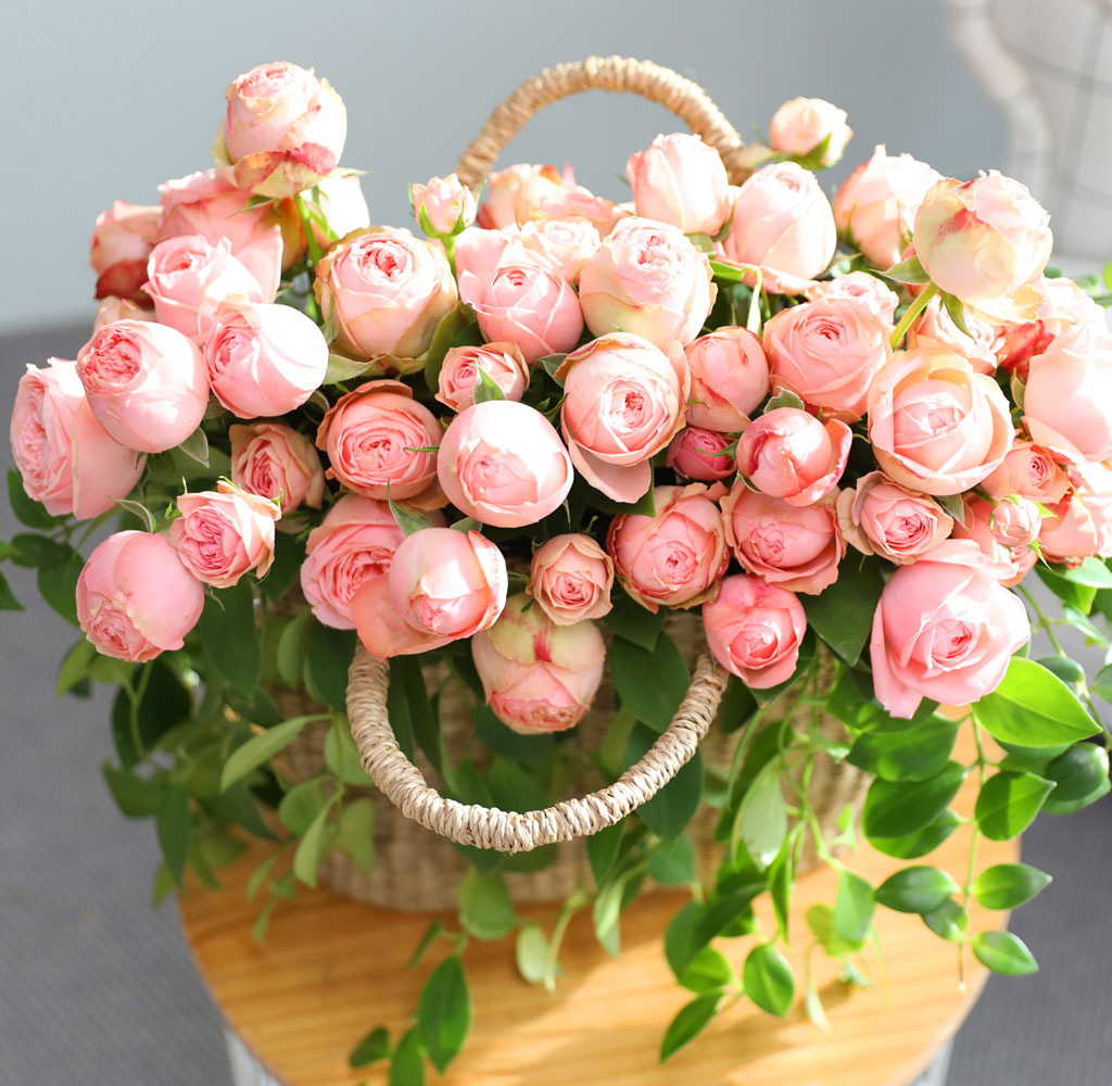 ����Ҽ��ۿ� ���� ��� ���� �ɹ��