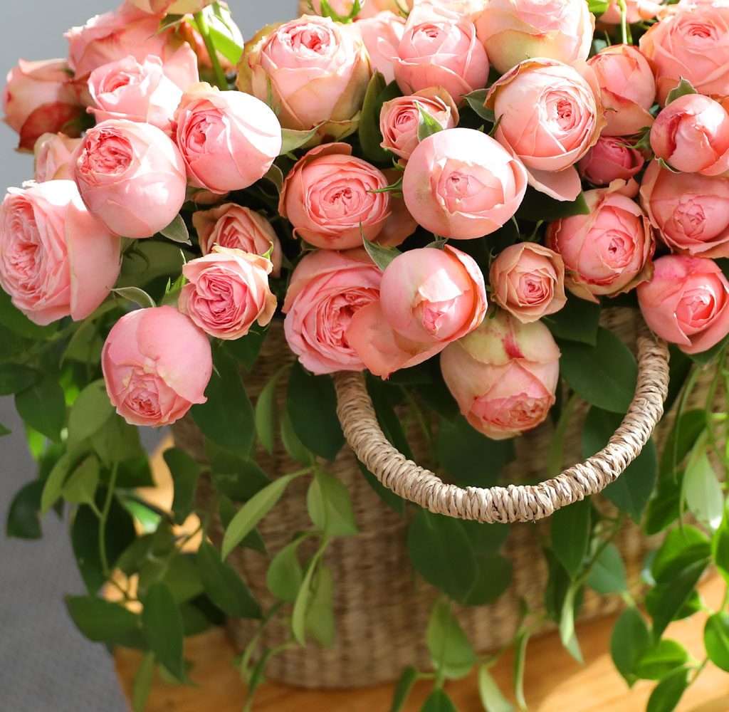 ����Ҽ��ۿ� ���� ��� ���� �ɹ��