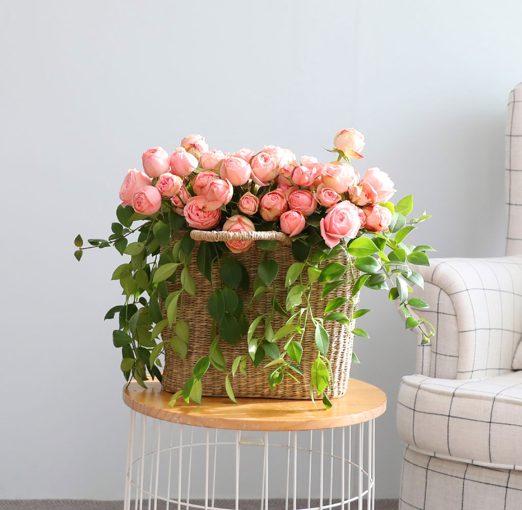 ����Ҽ��ۿ� ���� ��� ���� �ɹ��