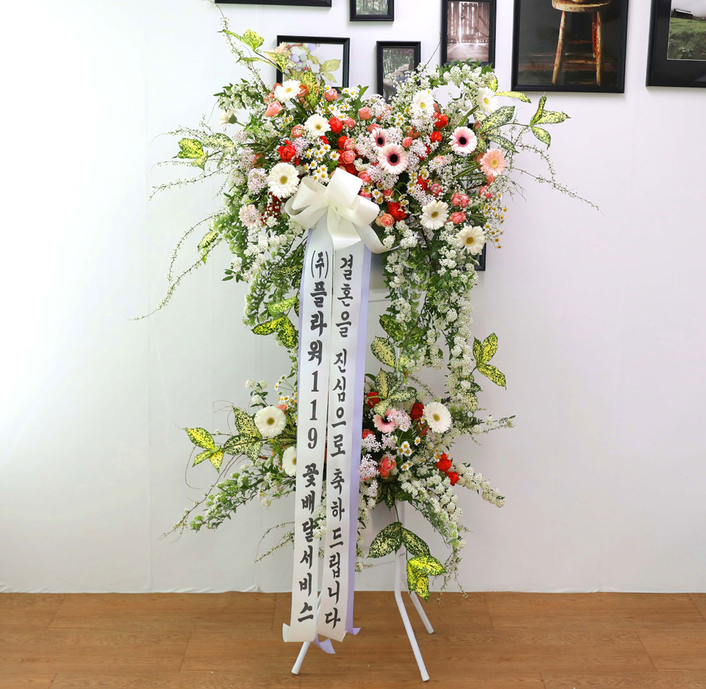 ȥȭȯ - κ ձ濡 ׻ ɱ游 ϱ  ɹ