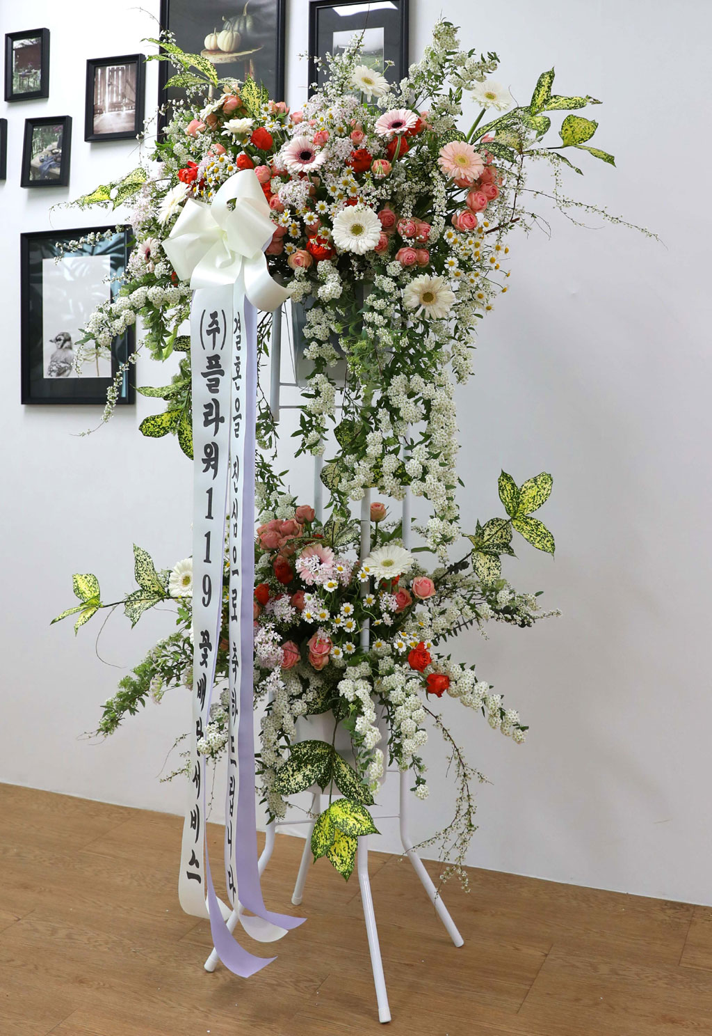 ȥȭȯ - κ ձ濡 ׻ ɱ游 ϱ  ɹ