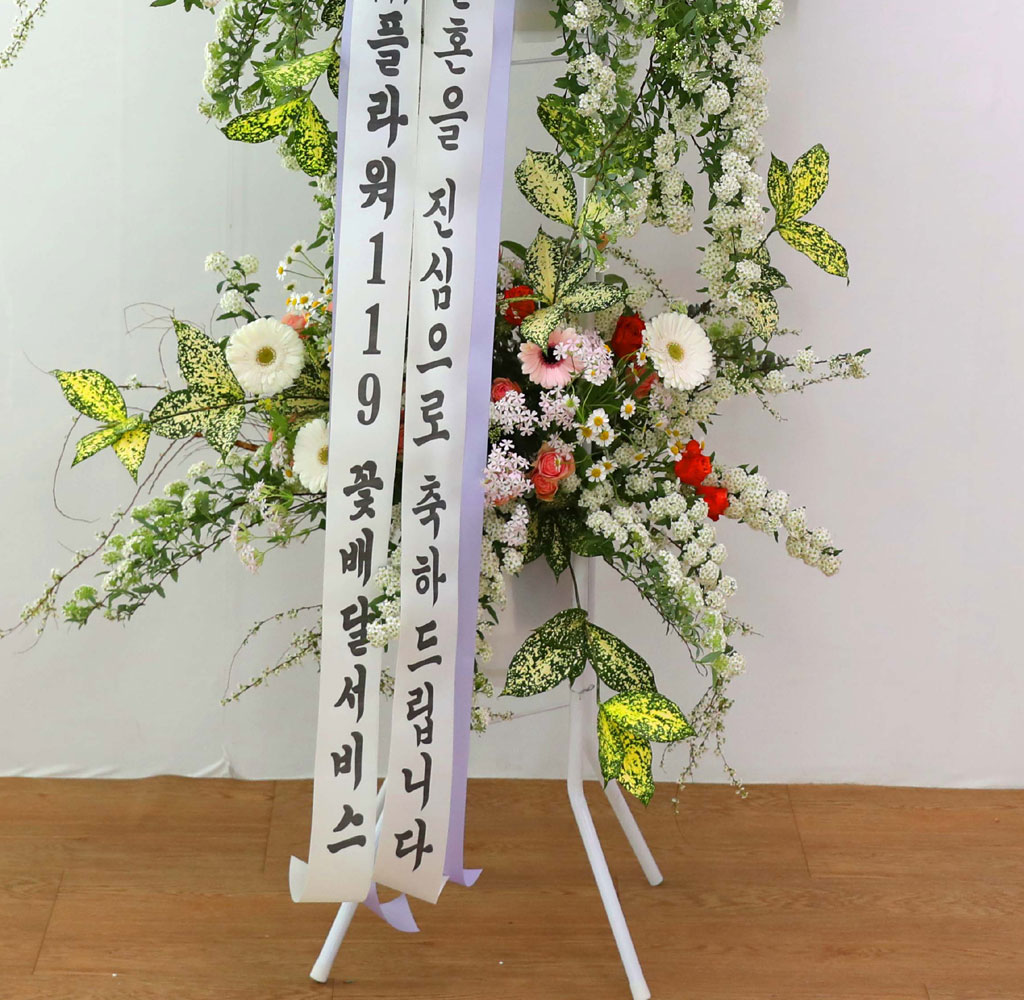 ȥȭȯ - κ ձ濡 ׻ ɱ游 ϱ  ɹ