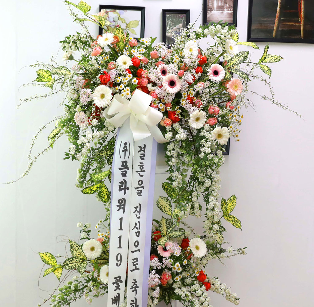 ȥȭȯ - κ ձ濡 ׻ ɱ游 ϱ  ɹ