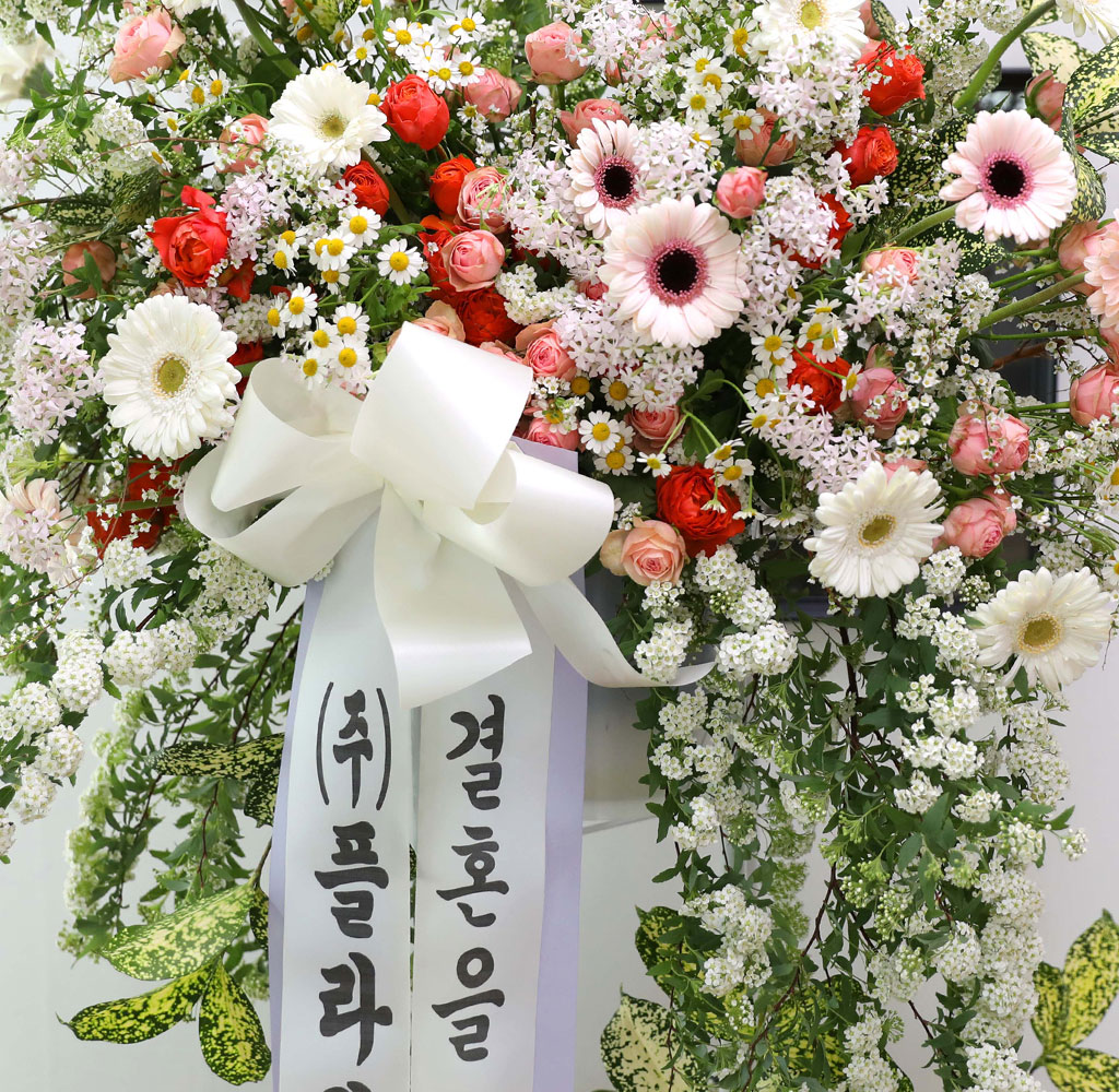 ȥȭȯ - κ ձ濡 ׻ ɱ游 ϱ  ɹ